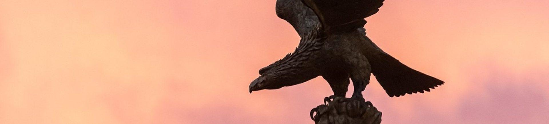 BC eagle statue at sunset